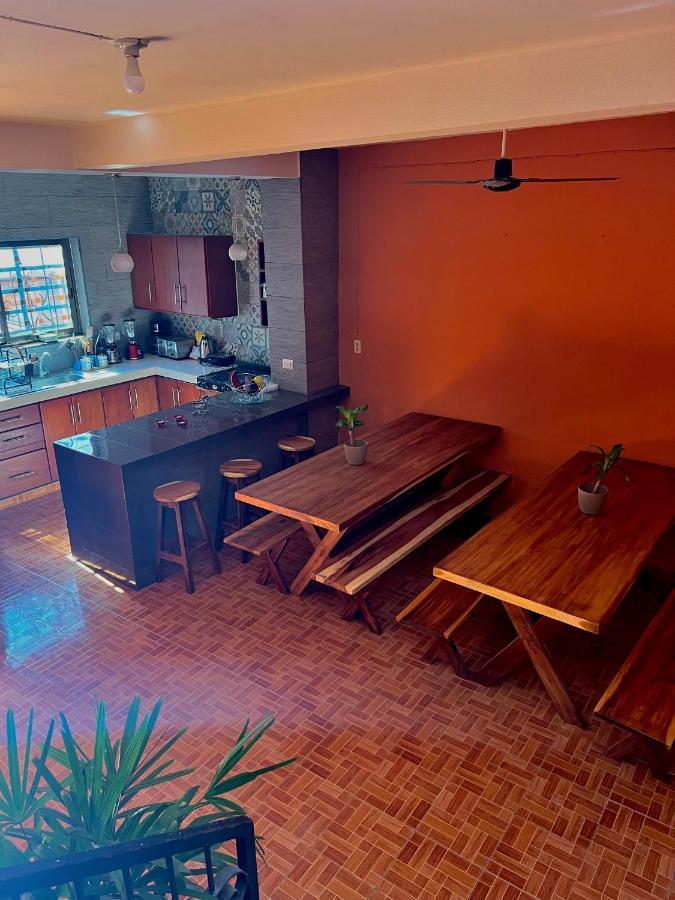 Alena Hostal 바야돌리드 외부 사진