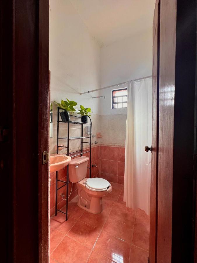 Alena Hostal 바야돌리드 외부 사진